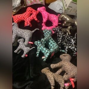 Victorias Secret PINK dog